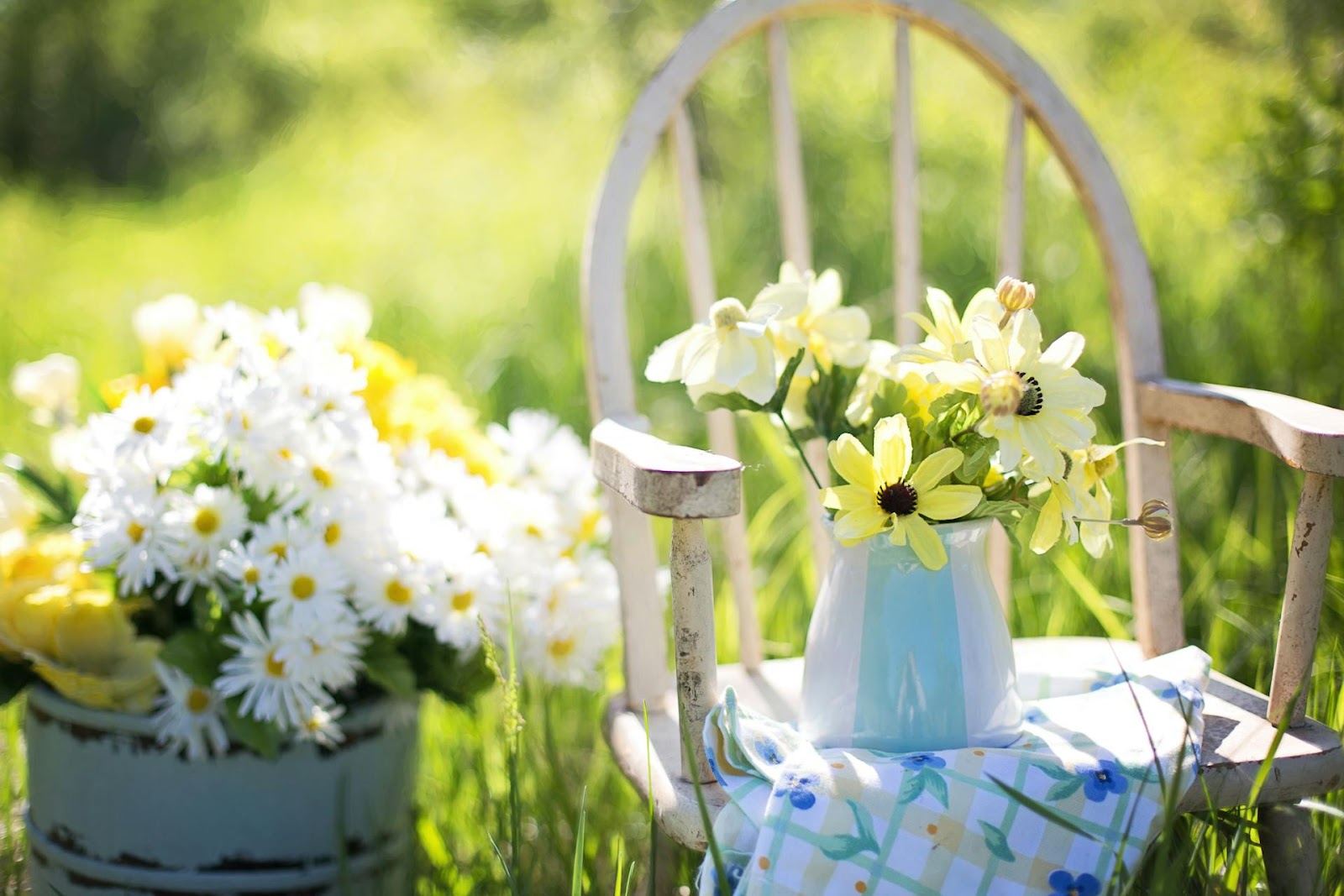 white flowers used in a landscape design