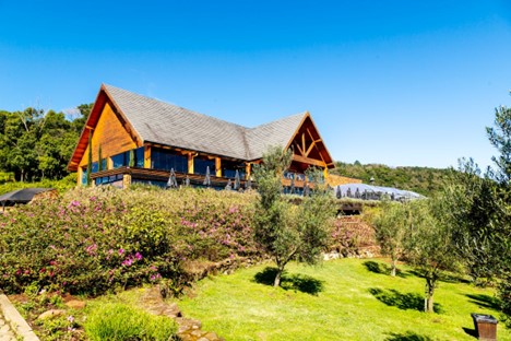 A large estate with olive trees and a garden.