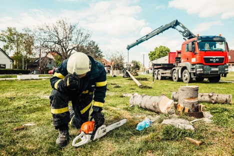 A professional tree service team removing a customer’s tree.