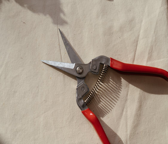 A pair of pruning shears with red handles.