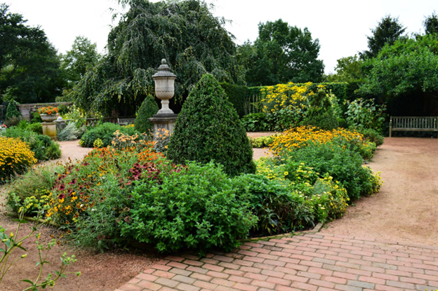 Outdoor landscaping with trees and shrubs