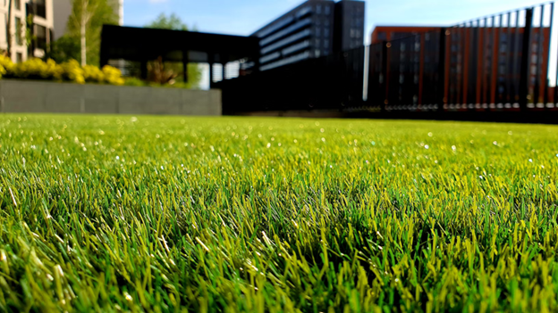 A fresh cut lawn