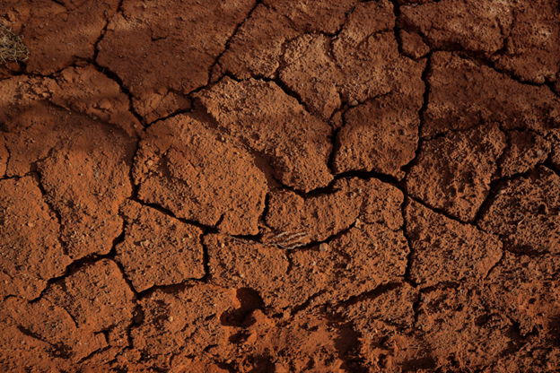 Dry soil up close