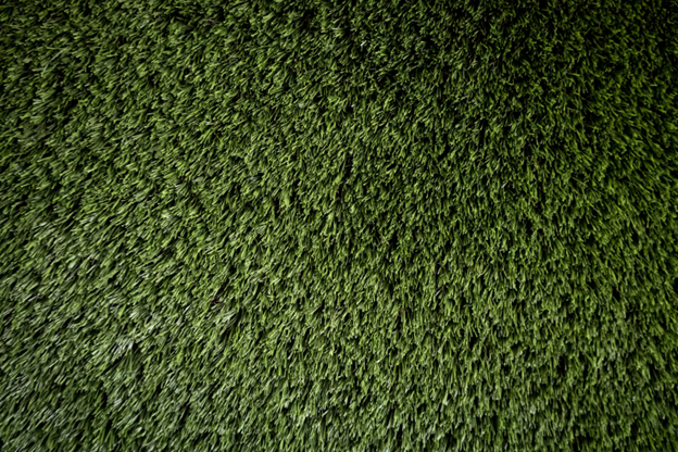 Grass on a lawn